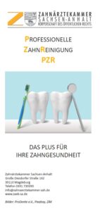 Flyer Professionelle Zahnreinigung